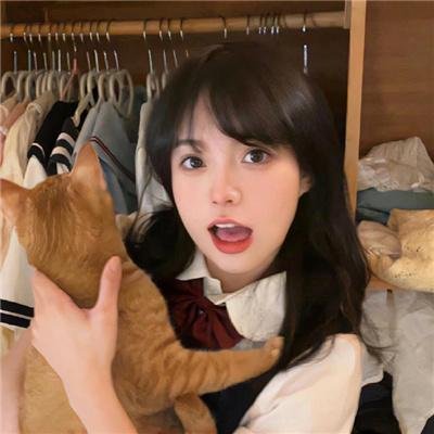 庇护所