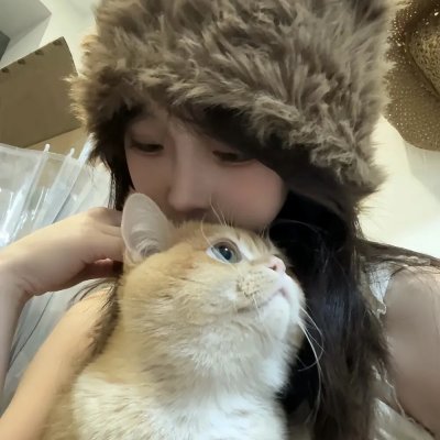红狐